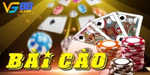 Tìm hiểu về Bài Cào