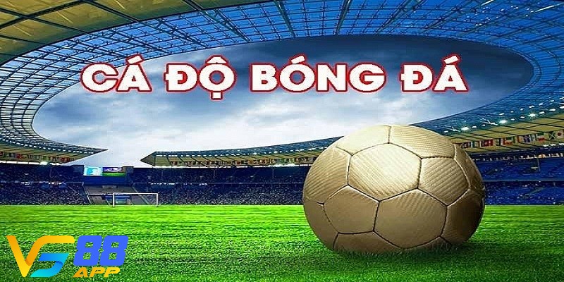 Top 5 tips cá cược bóng đá miễn phí dành cho anh em tân thủ