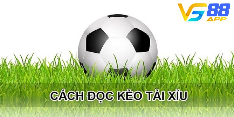 Hướng dẫn cách đọc kèo Tài Xỉu chuẩn xác cho tân thủ